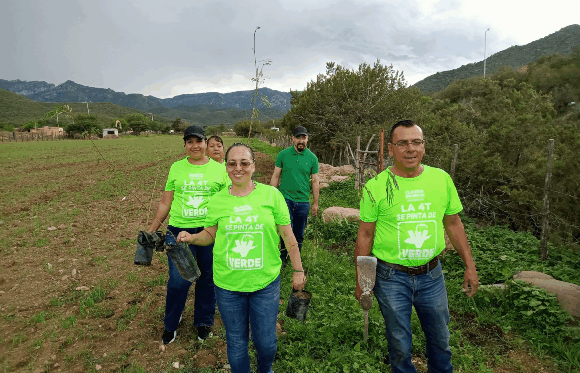 Reforestamos Santa Bárbara por un futuro más Verde.