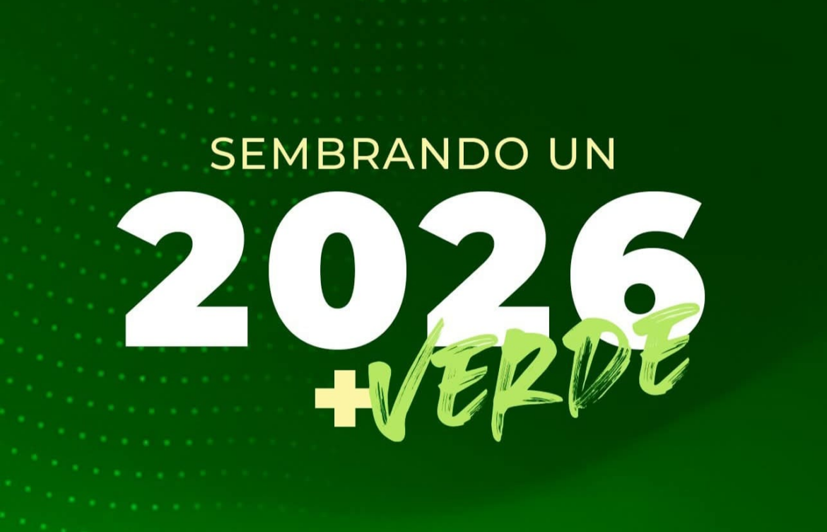 Feliz Año nuevo | Octavio Borunda